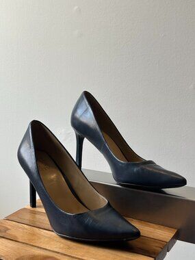 Naturalizer Women's Anna Pointed Toe Dress Pumps - Navy